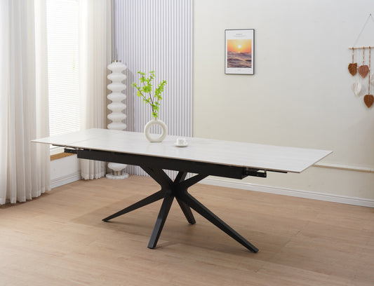 TABLE REPAS DT909METB160