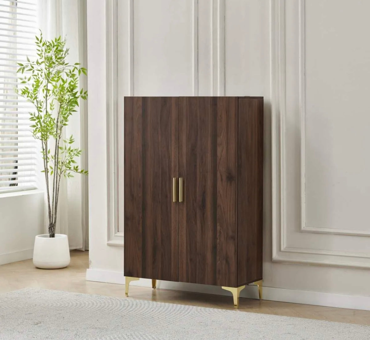 MEUBLE A CHAUSSURE 2 PORTES C13Z NOYER