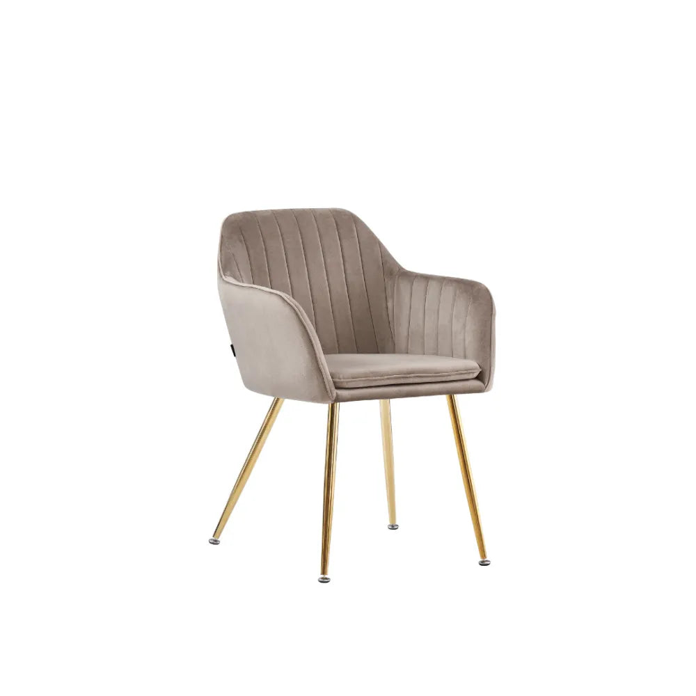 Chaise CANVAS pied GOLD assise en velours BEIGE, TAUPE, ANTHRACITE et GRIS